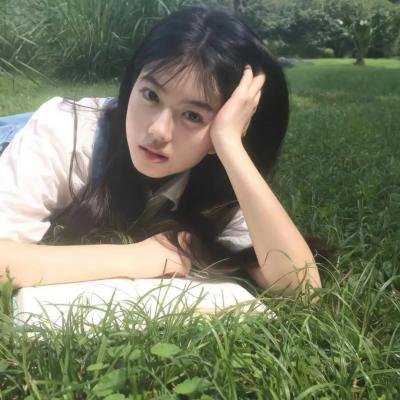 第阿诺亚战场